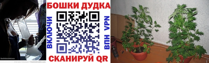 Виды наркоты Вельск АМФ  COCAIN  Гашиш  Меф  Бошки Шишки 