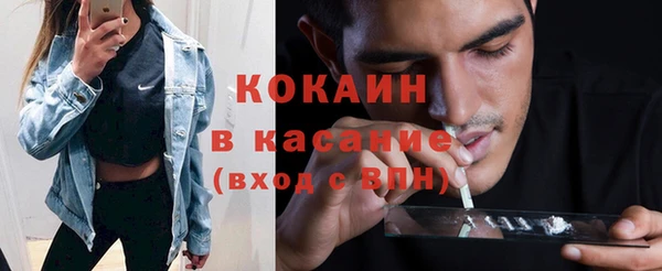 ПСИЛОЦИБИНОВЫЕ ГРИБЫ Богданович