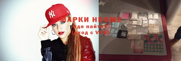 ПСИЛОЦИБИНОВЫЕ ГРИБЫ Богданович