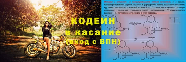 ПСИЛОЦИБИНОВЫЕ ГРИБЫ Богданович