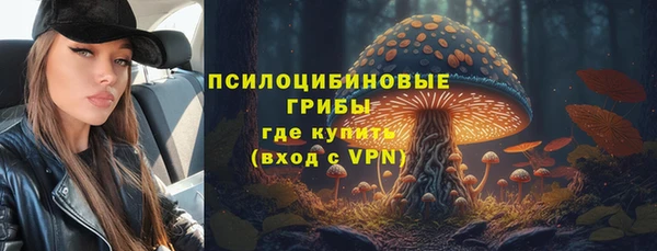 бошки Бородино