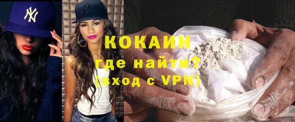 ПСИЛОЦИБИНОВЫЕ ГРИБЫ Богданович