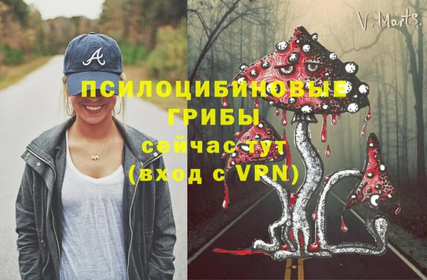 бошки Бородино