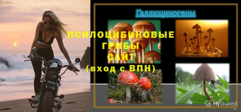 Псилоцибиновые грибы Magic Shrooms  MEGA сайт  Вельск 